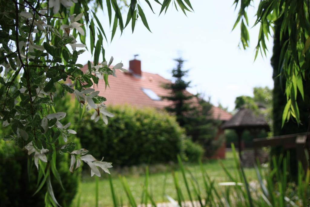 Landhotel Zur Schmiede Göhren-Lebbin Buitenkant foto