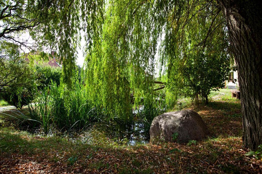Landhotel Zur Schmiede Göhren-Lebbin Buitenkant foto